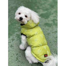 Жилет для собак салатовый в сердечки G-68