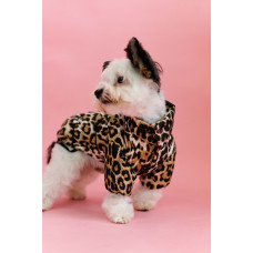 Куртка с фиксаторами Лео Карамель K-81