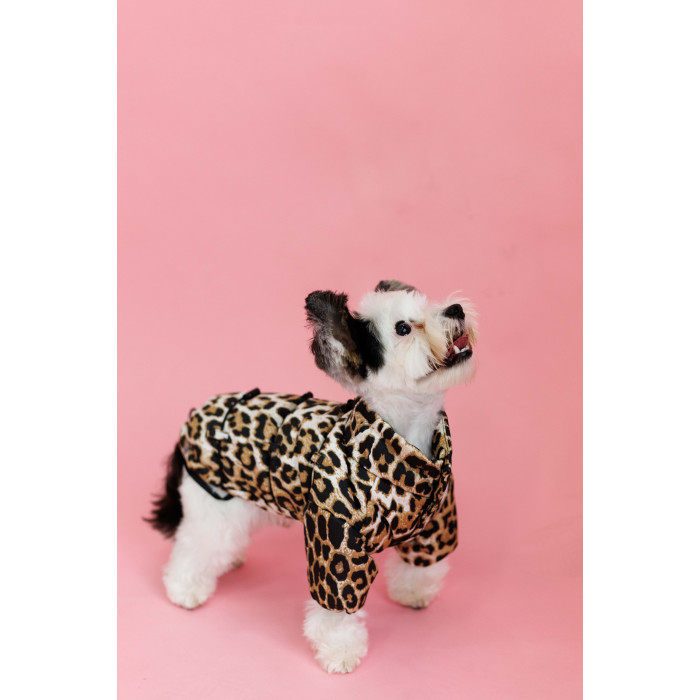 Куртка с фиксаторами Лео Карамель K-81