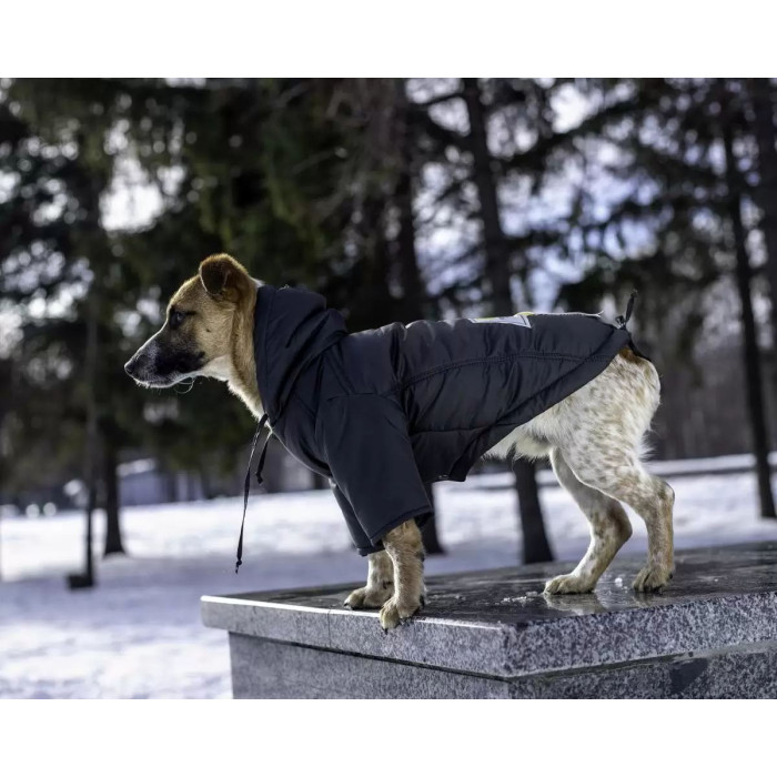 Парка для собак черная KP-9