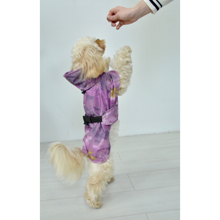 Дощовик плащ для собак, абстракція фіолет M-117