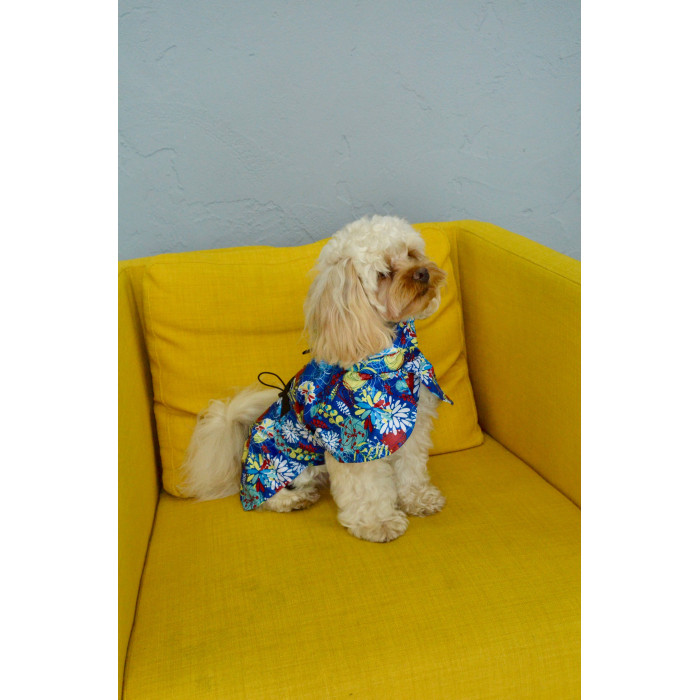 Плащ дождевик для собак, цветочки синий M-118