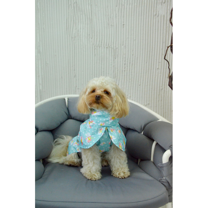 Дощовик плащ для собак, квіточки м'ятний M-119