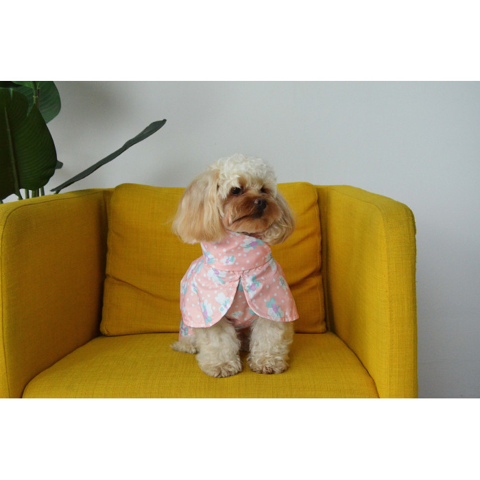 Дощовик плащ для собак, квіточки персик M-120