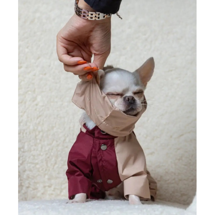 Дождевик-трансформер, марсала/беж M-148