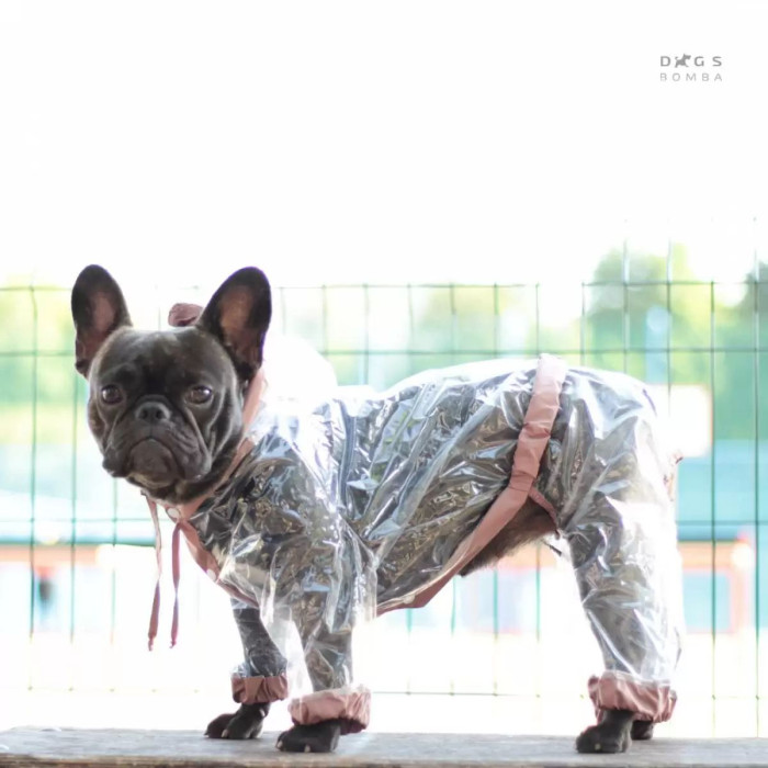 Дождевик для собак из ПВХ мокко M-59, унисекс №7