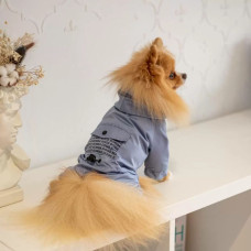 Дождевик для собак с карманами DB голубой M-66, унисекс