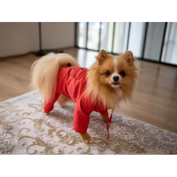 Дождевик для собак с карманами DB красный, унисекс 