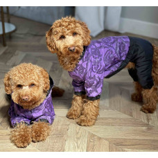 Дождевик для собак узоры сирень M-92 унисекс