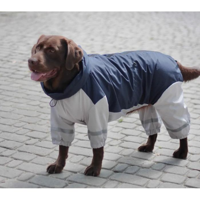 Дождевик для больших собак синий с серым MB-2