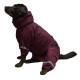 Дождевик для больших собак бордо MB-5