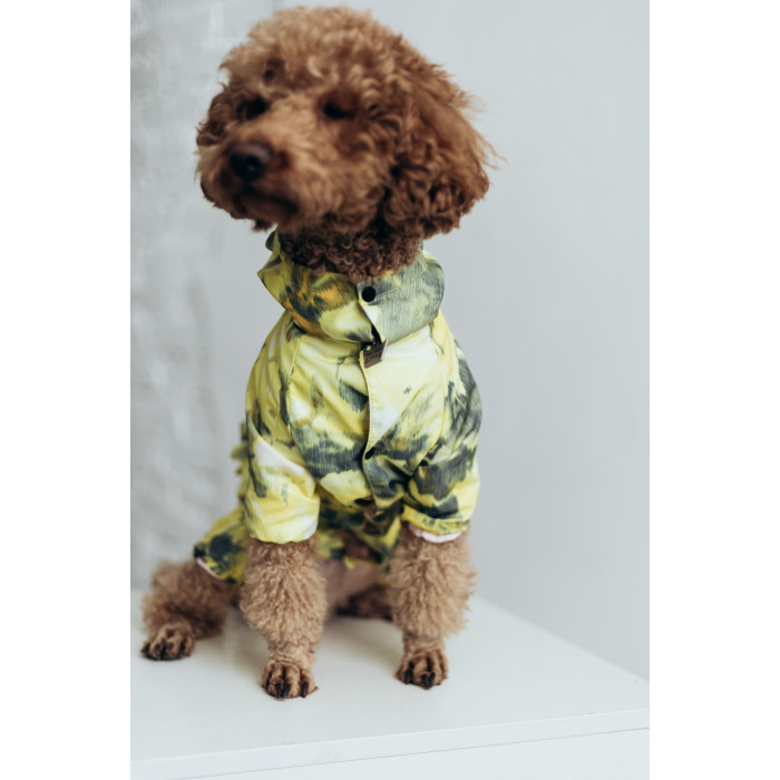 Дождевик рюша (для девочек) абстракцiя лимон MD-18