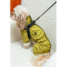 Дождевик со шлейкой горчичный MS-12