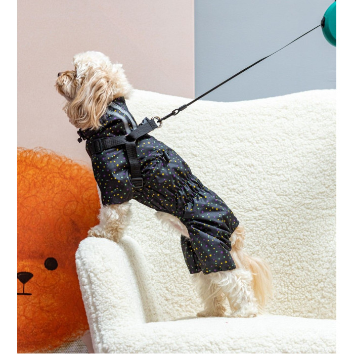 Дождевик со шлейкой звезды MS-13