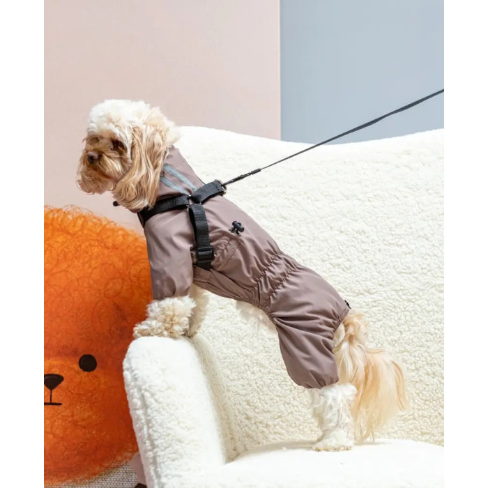 Дощовик зі шлеєю капучино MS-14