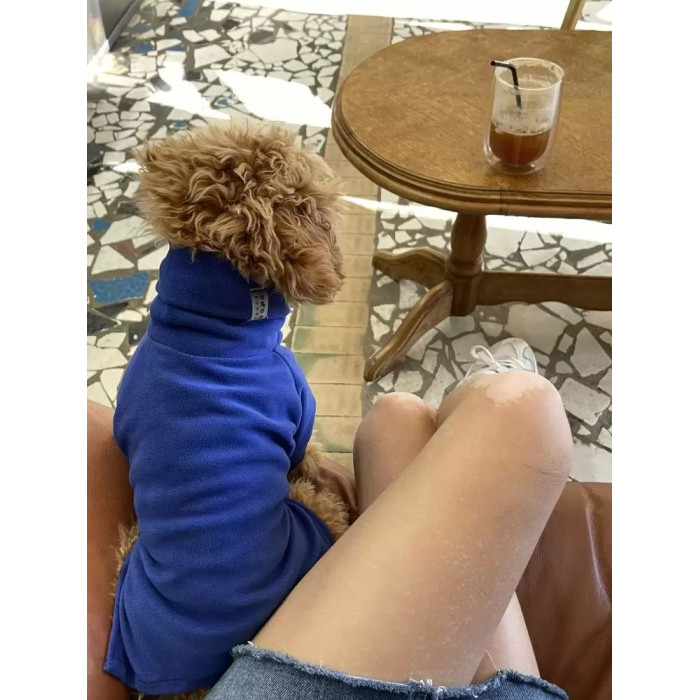 Свитер трикотажный на микрофлисе электрик Y-251