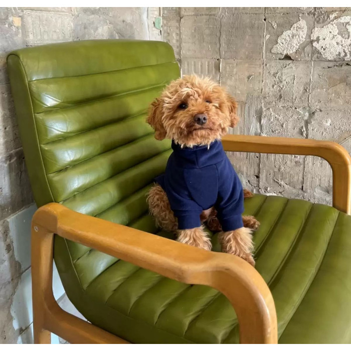 Толстовка трикотажная на микрофлисе синий Y-253, №6