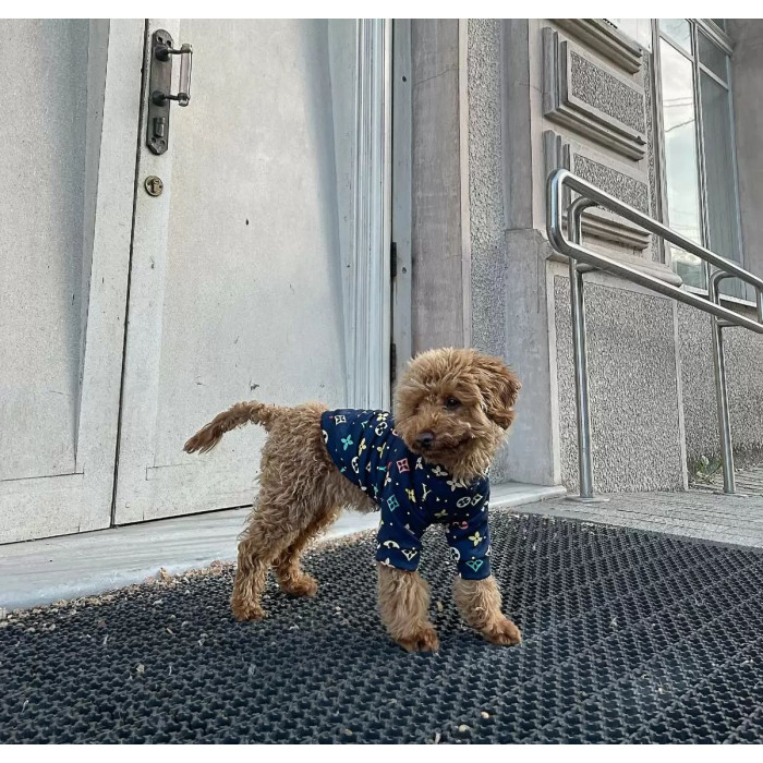 Толстовка трикотажная LV синяя Y-254, №7