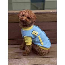 Бомбер для собак желто-голубой Y-269