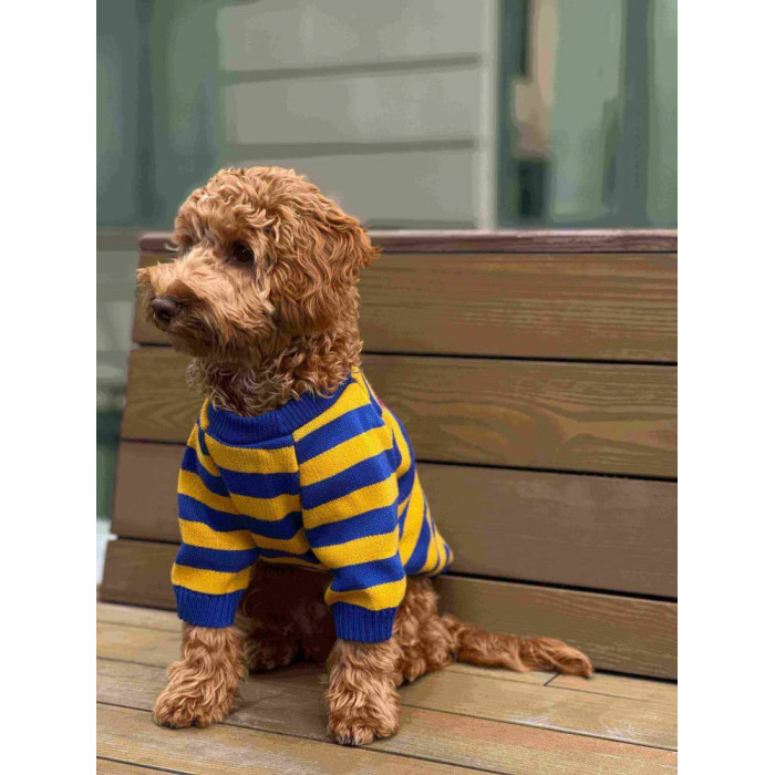 Вязаный свитер полосатый сине-желтый с сердцем Y-275