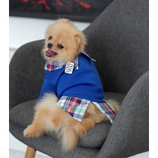 Толстовка с рубашкой синяя Y-297