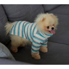 Гольф с люрексом полосатый голубой Y-300.