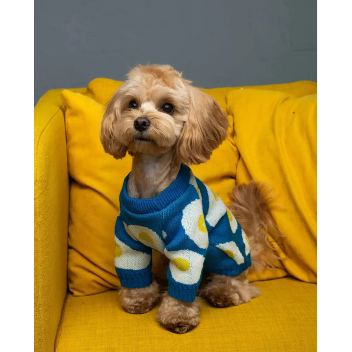 Светр в'язаний яєчня синій Y-347