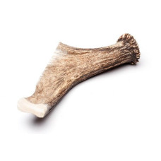 Рога лося - твердые толстые, 30 см