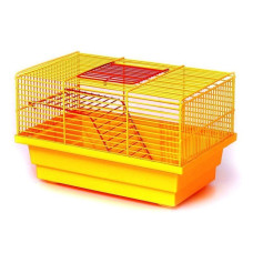 Клетка для грызунов Мышка, Лори, 28х18х17 см