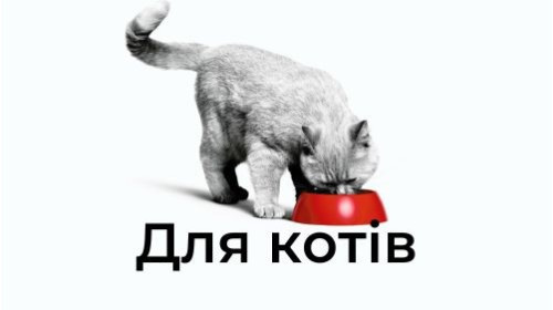 Корма Royal Canin для котов