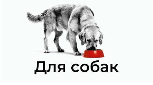 Корма Royal Canin для собак